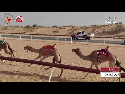   ش 11 (الشهامه) لـ محمد علي حماد الشامسي 9:58 , شارة الديوان 3 2026/10/07 ثنايا اللبسه    