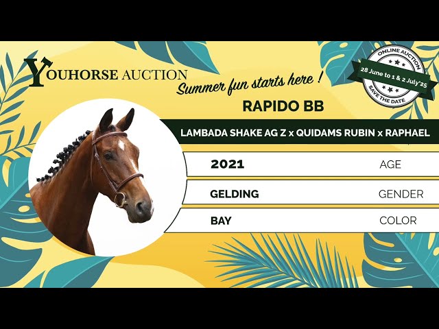 Rapido BB homevideo