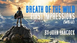 Legend of Zelda Breath of the Wild Wii U First Impressions