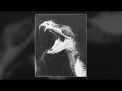 (FREE) Hard Bass Dark Bells Type Beat - "Hunters" | Rap Trap Instrumentals 2020