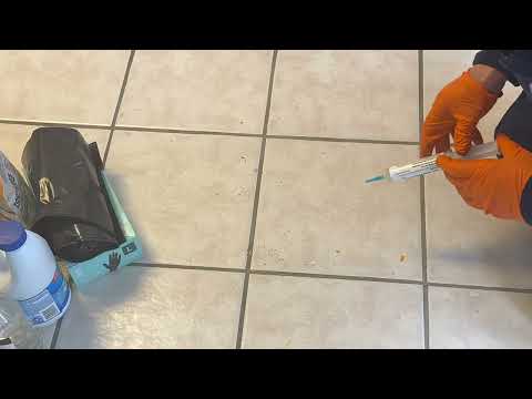 Ants Picking Up the Mess in the Kitchen in Milltown, NJ