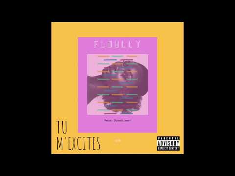 [SINGLE] Flowlly - Dumebi French Remix (Tu m'excites) (Prod. By HITSOUND PRODUCER)