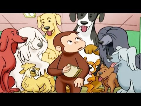 Peter Pedal 🐵Peter Pedal, Hundetæller 🐵Sæson 1 Fuld Episode 🐵Børn Film 🐵Film til Børn