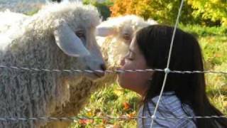 The Life of Saint Brigid: Abbess of Kildare