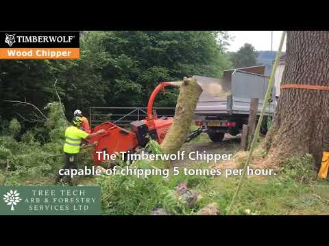 Tree Tech Arb & Forestry Services Ltd video.