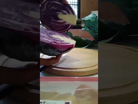 Wellness Shiloh and Organic