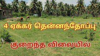4 ஏக்கர் தென்னந்தோப்பு விற்பனை குறைந்த விலையில் | #realestate #landsale