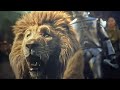 WICKED FOR GOOD Tin Man Threatens The Cowardly Lion Sad Scene Recap