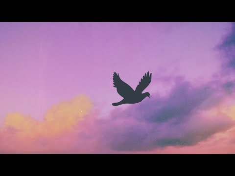 Video thumbnail for Each Moment More Than the Last