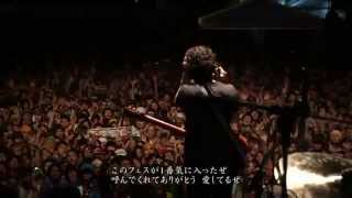 MGMT Live at Fuji Rock 2010