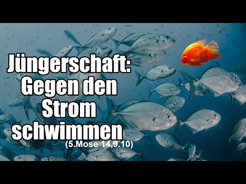 Jüngerschaft: Gegen den Strom schwimmen (5. Mo 14,9.10)