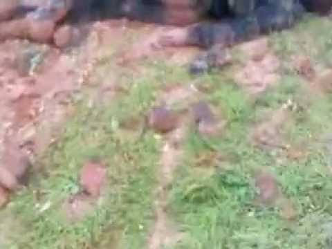 رصد لقتلى قوات النظام بعد السيطرة على حاجز الزغبة في ريف حماة من قبل لواء أحرار العشائر