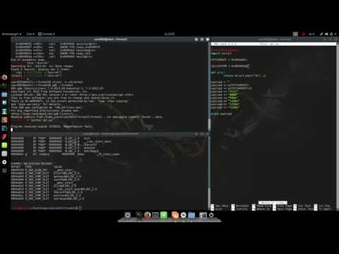 PICO CTF 2013 - Format 2 (Format string exploit)