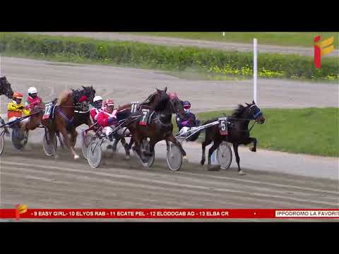 II Corsa del 5 aprile 2023 - 3 Anni - Metri 2000