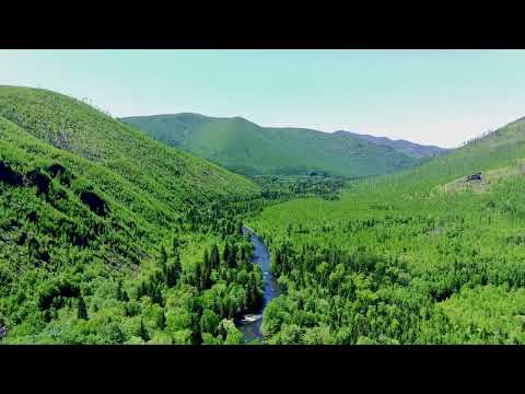 река Дымни Хабаровский край
