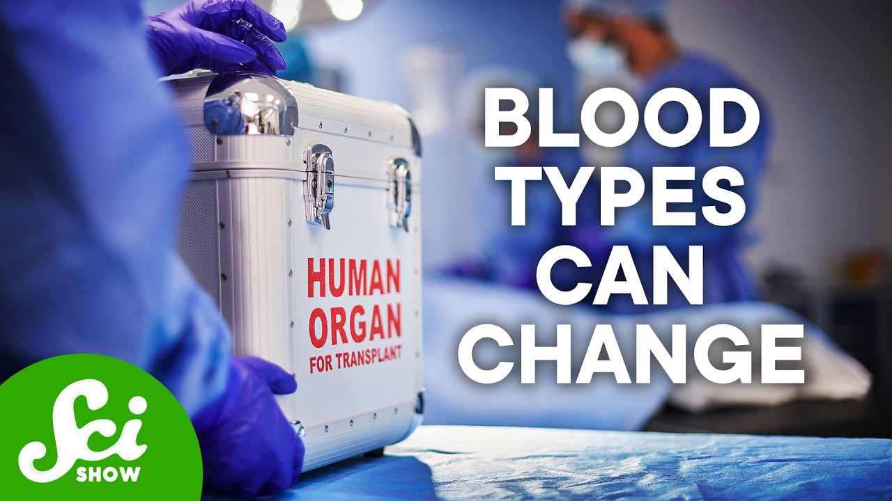 Organs Have Blood Types. That’s a Problem.