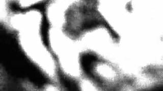 Tones on Tail - Shakes