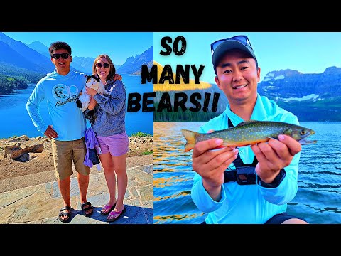 Waterton Lakes National Park Camping &amp; Fly Fishing | Bear Warning ⚠️ 