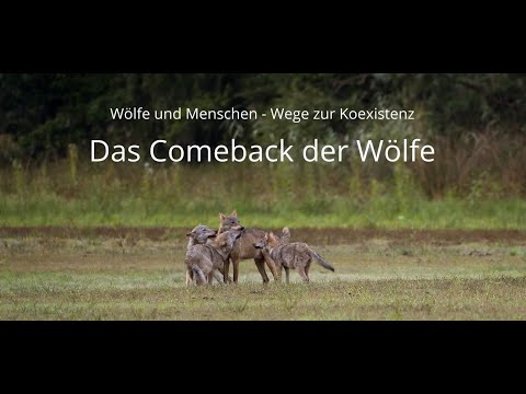 Wölfe und Menschen – Wege zur Koexistenz (Vollversion von Sebastian Körner)