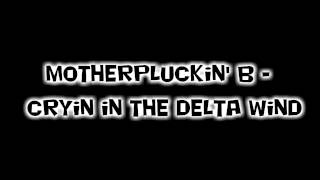 Minecraft Music #10 - Motherpluckin' B - Cryin in the Delta