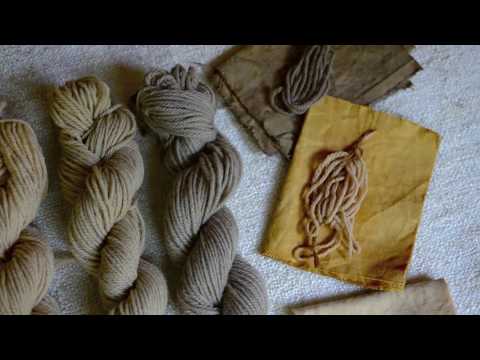 download lagu mp3 mp4 Acorn Dye, download lagu Acorn Dye gratis, unduh video klip Acorn Dye