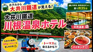 【大井川鐡道川根温泉ホテル】静岡旅行｜県内トップクラスの湯量！温泉と絶品バイキングと大井川鐡道を満喫♨