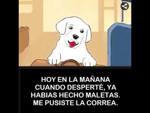 ESTO NO SE DEBE HACER NUNCA¿MULTA Y CÁRCEL AL QUE COMETA ESTA.CANALLADA