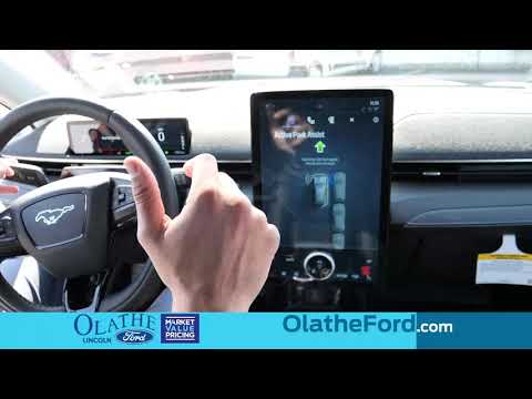 2021 Ford Mustang Mach E: Center Console and Park Assist