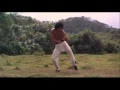 Drunken Master 8 Drunken Gods
