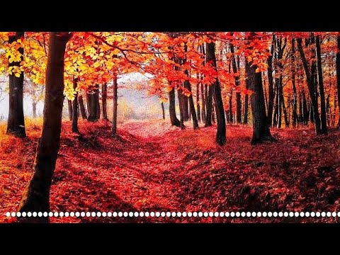 Best slow and relaxing calm free music (no copyright music)