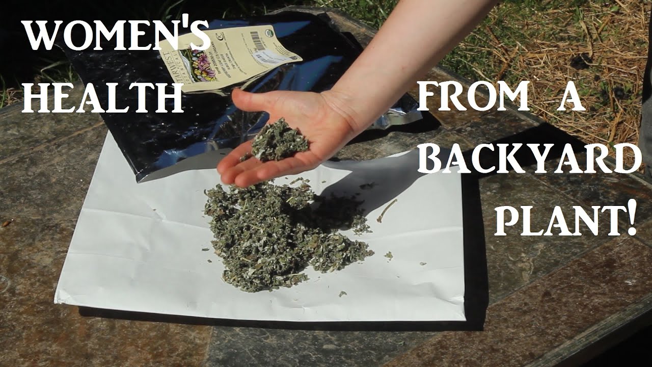 The Miracle Herb for Women's Health! - YouTube