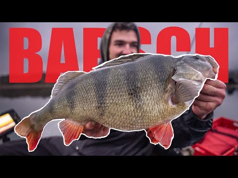 Barschangeln am Stausee 🔔 Monster Alarm