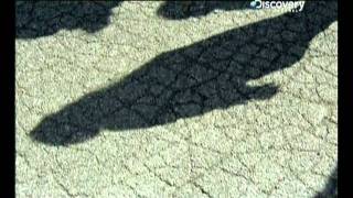 Culinary Asia Japan (Part 3/4)