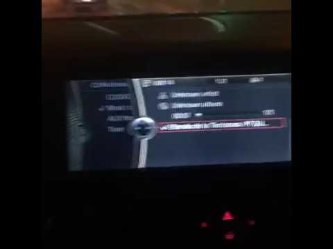 Blondu de la timisoara si nicolae guta cui nu-i place viața promo