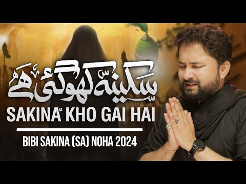 Sakina Kho Gai Hai | Syed Raza Abbas Zaidi | Nohay 2024 | Muharram 1446 / 2024 | Bibi Sakina Noha