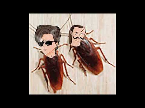 лучший мем всего project ko