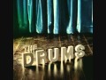 The Future- The Drums 