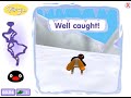 Gameplay 2691 Pingu Crazy Sledging 32