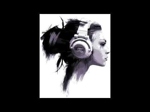 Styl-Plus, Lil Jon and Fatman Scoop - Always On My Mind (DJ Cizo Shout Remix)'08