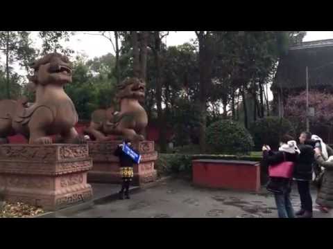 Avaliações do mercado de brinquedos antigos de Shuxianqiao, acesso, horário comercial ｜ Chengdu