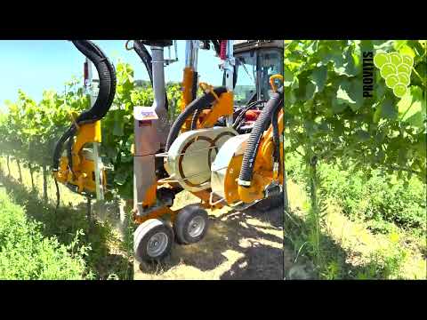 Effeuilleuse pneumatique LB 260 - PROVITIS