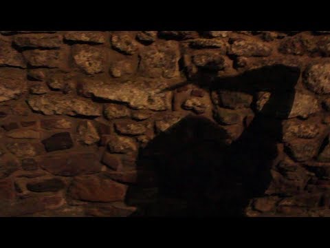 Midnight Force - Killer (Official Video)