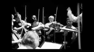 Haydn Symphony 49 La Passion 1/4