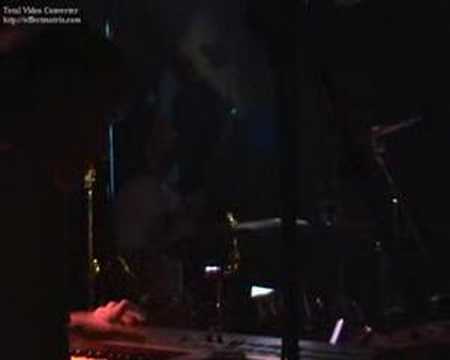 LA CALLE DE ÁNGELA - Domesticado live in valencia 2007