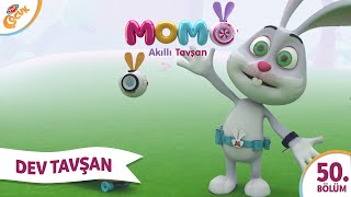 12.Bölüm - DEV TAVŞAN