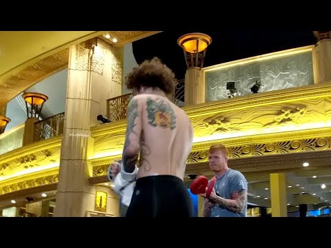 Sean O'Malley Crashes UFC 222 Open Workouts - MMA Fighting