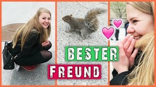 MEIN NEUER BESTER FREUND. (+ Cherry Blossoms D.C.)