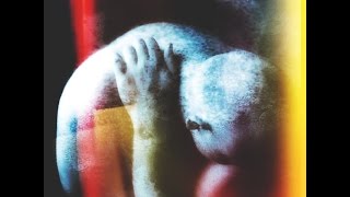 Porcupine Tree - Futile EP (2003) - Drown With Me