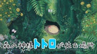【トトロ解説】トトロが住む森はどんなところ?鎮守の森、神様がすむところ【岡田斗司夫切り抜き】