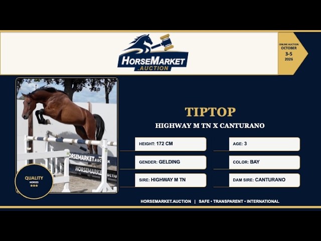 Tiptop
